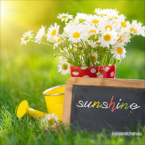 Pro Art gla1089d väggbild glaskonst 'Sunshine' 20 x cm 4019449369896