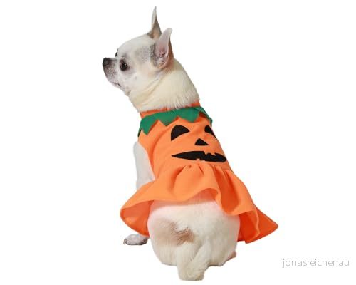 Atosa Orange pumpa kostym husdjur söt och festlig look halloween ande säsong livlig design härliga detaljer 8422259796534