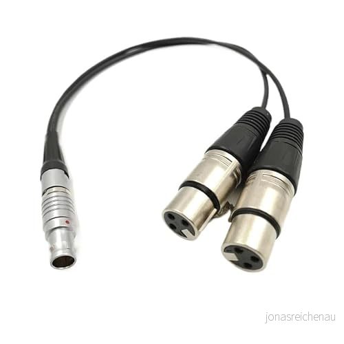 Atom~s Dubbel XLR hona 3-stifts ljudingångskabel till 10 stift rak för skärminspelare shog ~n (Straight Plug-kabel, 200 cm) 8393579098816