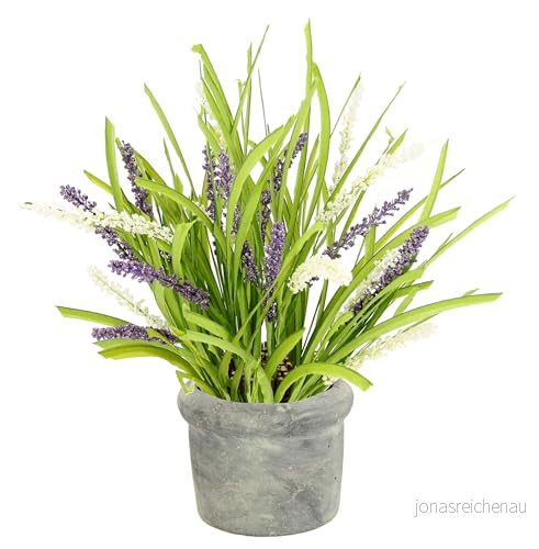 konstgjord lavendellinning i kruka, lavendel, blomma, växt, dekoration, kök, oäkta balkongväxt, trädgård, fest, bröllop, bordsdekoration, lavendelblomma, grenar, 4019844804060