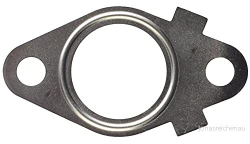 MISSLÅLIG GASKET 8433577131280