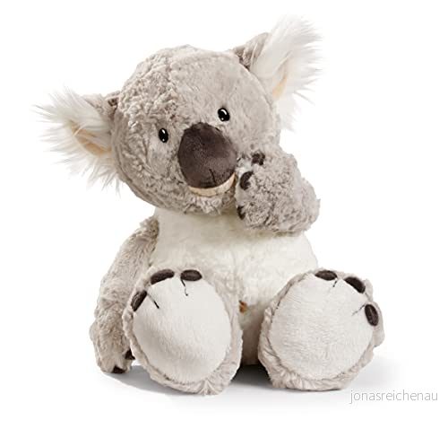 NICI N36391 gosedjur koala, 25 cm mjukisdjur för flickor, pojkar och bebisar, fluffigt att gosa, leka sova med 4012390363913