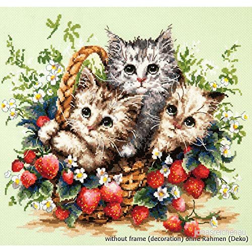 Magic Needle 5812 söta kattungar, korsstygsset med siffertmönster, bomull, flerfärgad, 35 x 31 cm 4602530058122