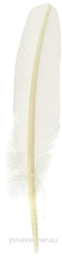 Jacques Herbin 23301ST Une plume d'oie taillée 21 cm, Blanc 3188552233019