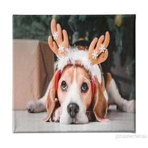 Homemania hund djur tavla för vardagsrum, sovrum flerfärgad, 60 x 3 cm HM20KNV60x60 121, polyester, trä 8681847162988