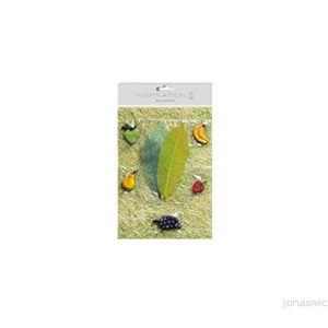 Ursus 64020099 Sisal Collection Frukter, papper och accessoarer 4008525345602 Ursus 64020099 Sisal Collection Frukter, papper och accessoarer 4008525345602